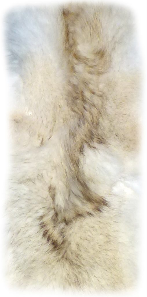 Kojotenfell flausichiges Rückendetail 