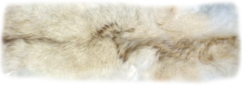 Kojotenfell weiß und weich Rückendetail