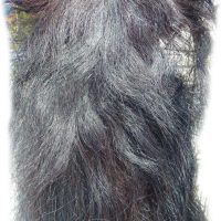 Pferdeschwanz schwarz 150 cm Gesamtansicht