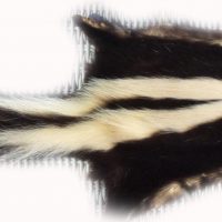 200901 Skunk 87 cm Gesamtansicht