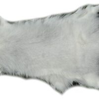 200912 Shadowfuchs Gesamtansicht