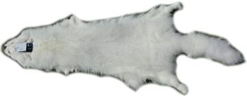 200912 Shadowfuchs Gesamtansicht