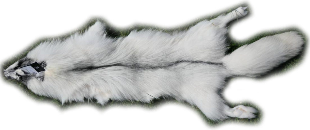 200916 Arctic Marble Fuchs 137 cm Gesamtansicht