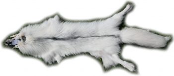 200917 Arctic Marble Fuchs 152 cm Gesamtansicht