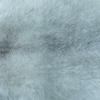 221106a-Blaufuchsfell