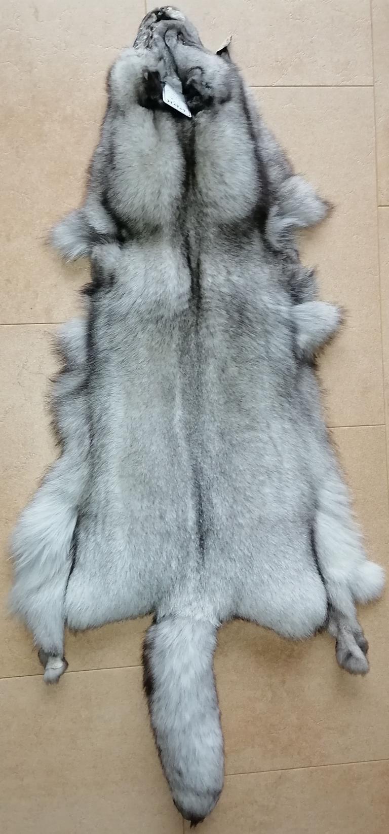221109 Blaufuchs dark