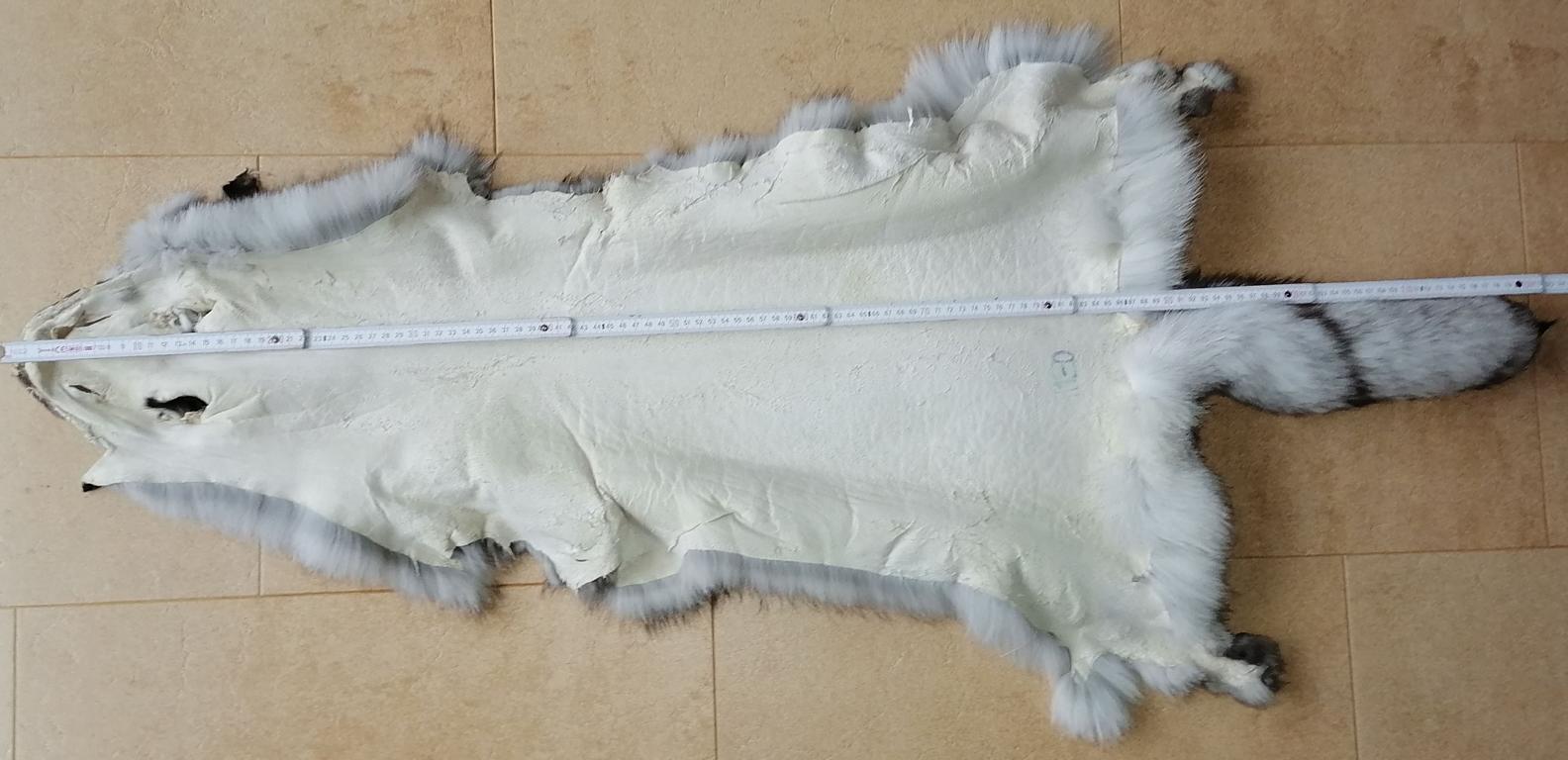 221109 Blaufuchs dark