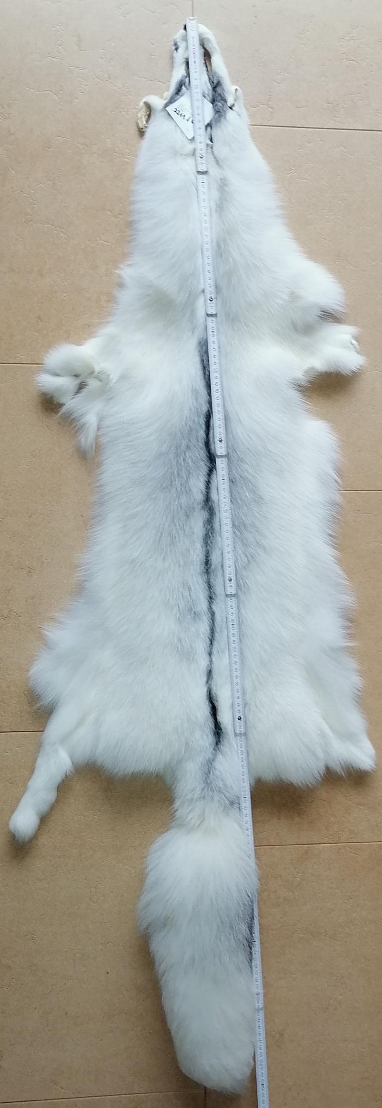 221110 Arctic Marble