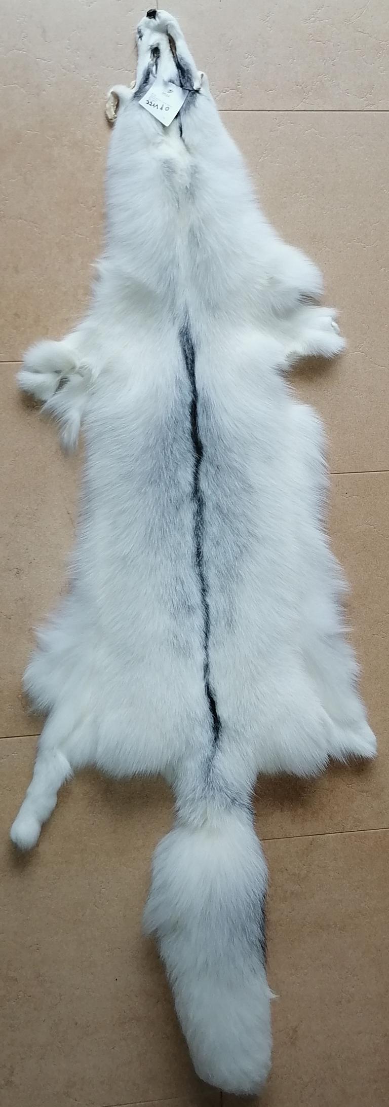 221110 Arctic Marble
