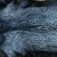 221111-Silberfuchs