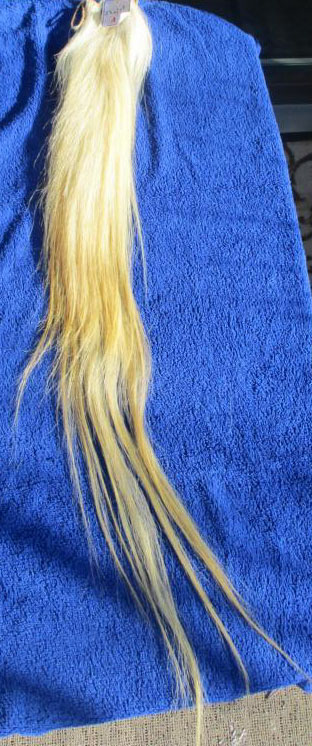 230201 110 cm weißblond 230201 110 cm weißblond