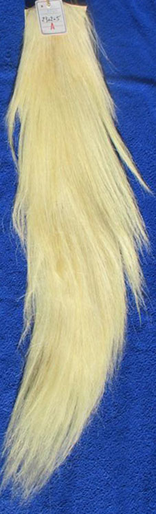 230205a 85 cm Weißblond 230205a 85 cm Weißblond