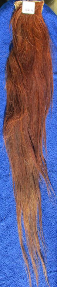 230214 120cm Rot 230214 120 cm Rot