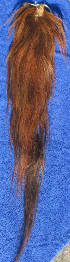 230219 120 cm Rot 230219 120 cm Rot