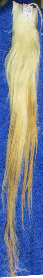 230302 110cm Weißblond 230302 110 cm Weißblond