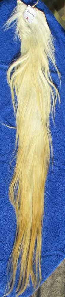 230304 120cm weißblond 230304 120 cm weißblond
