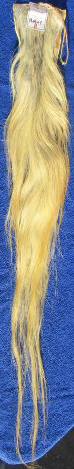 230401 110 cm Weißblond 230401 110 cm Weißblond