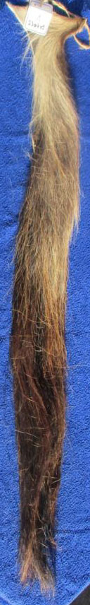 230409 115 cm Rot 230409 115 cm Rot