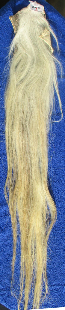 Pferdeschweif graublond 120 cm.