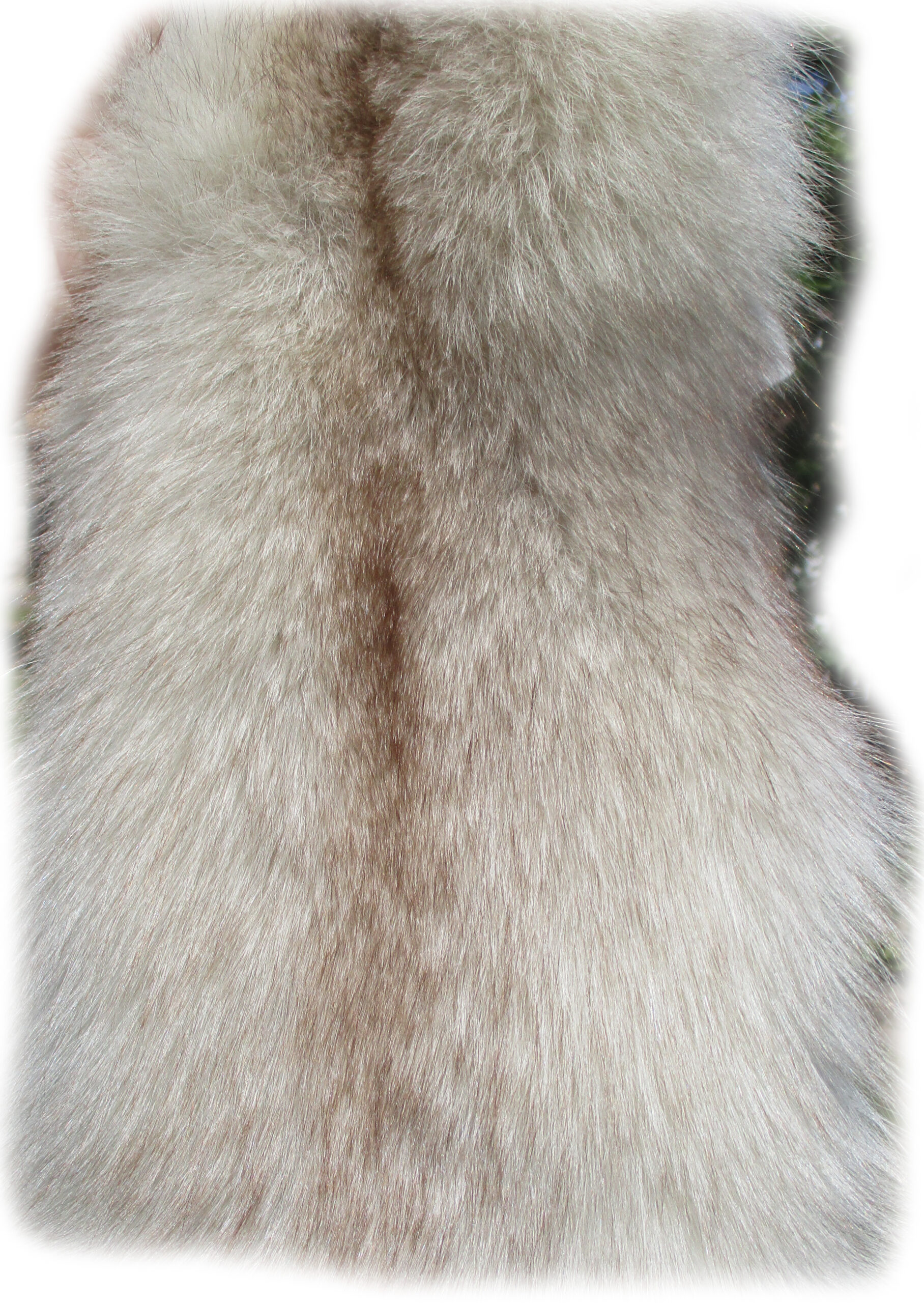 Blaufuchsfell-Detail