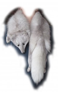 Blaufuchsstola 1 Gesamtansicht Blaufuchsstola 1 Gesamtansicht