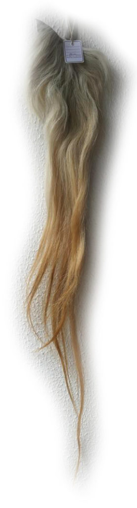 Pferdeschweif blond 120 cm