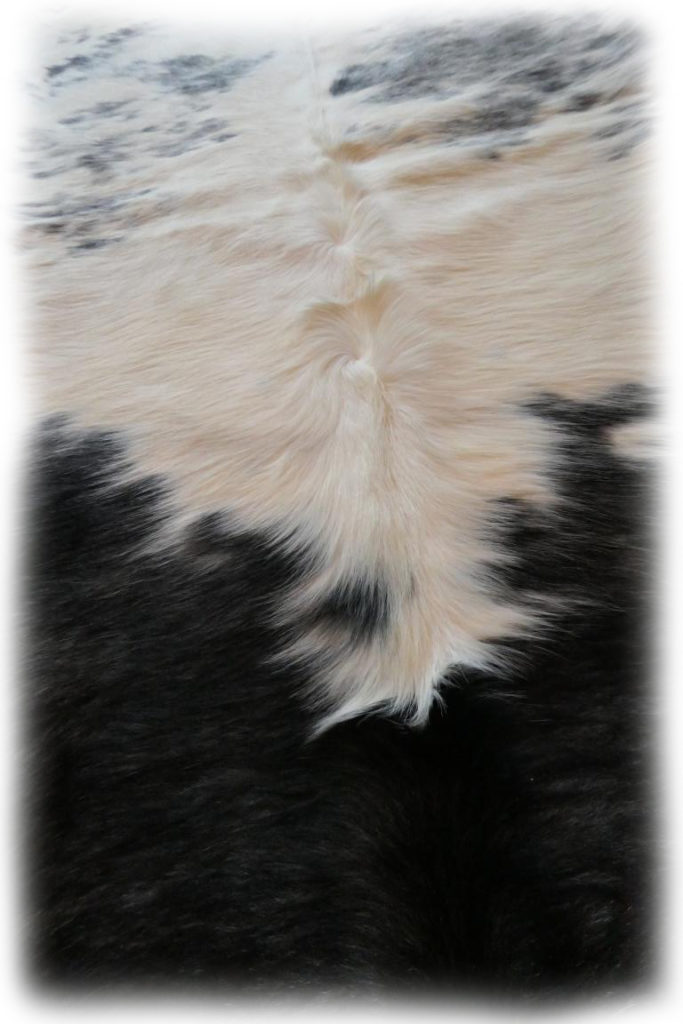 Stierfell Weiß Schwarz gefleckt Nackenhaardetail