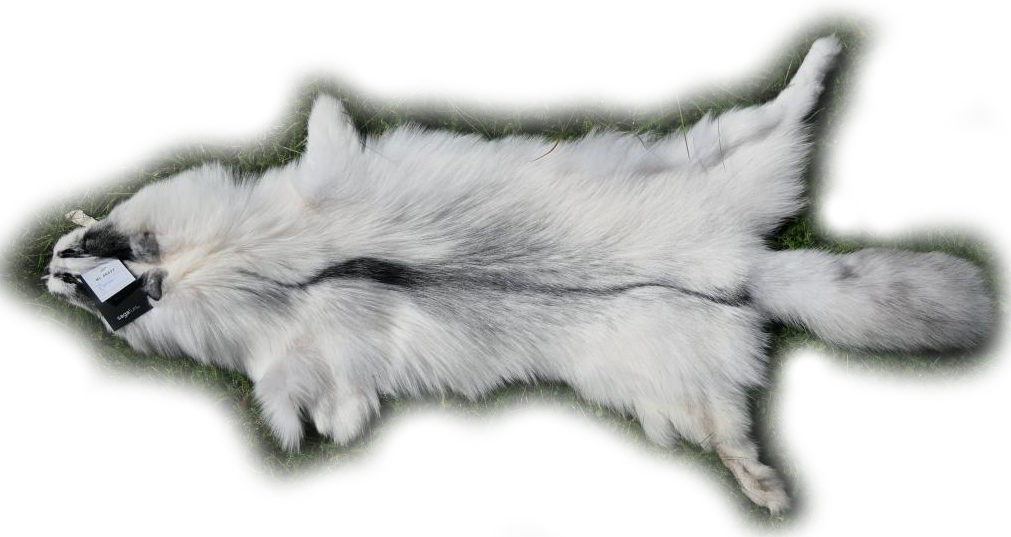 200918 Arctic Marble Fuchs 128 cm